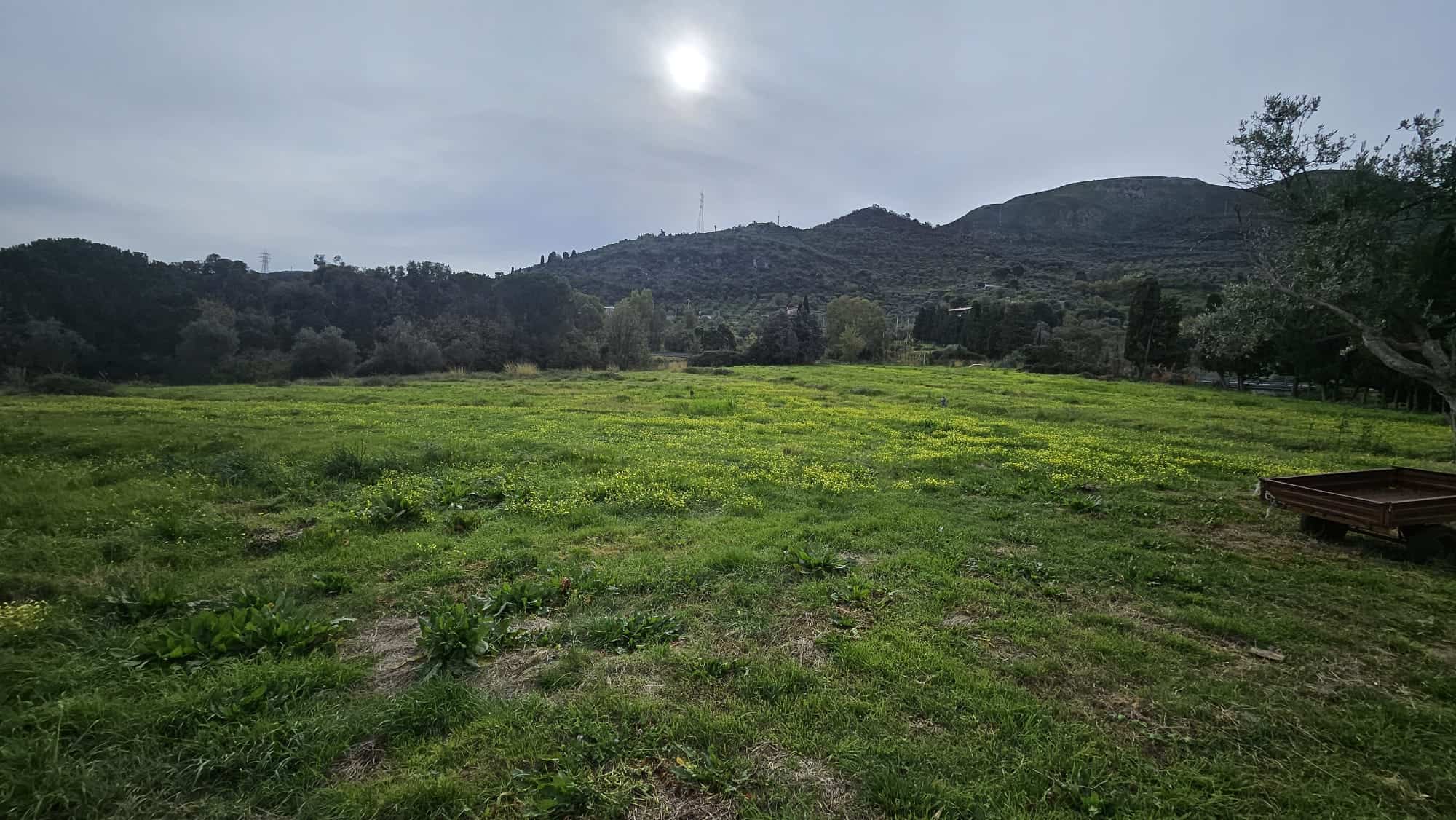 Campo aperto con erba verde, montagne e cielo nuvoloso in background, rappresenta un ambiente naturale e tranquillo.