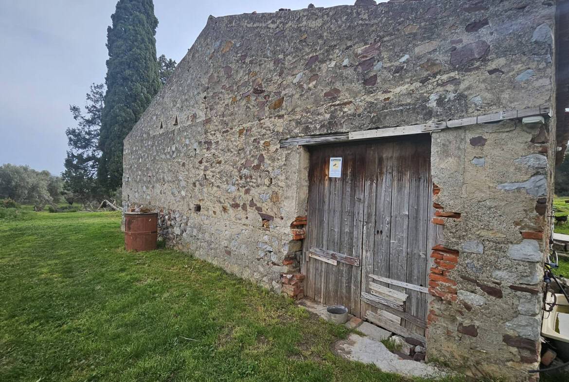 1170