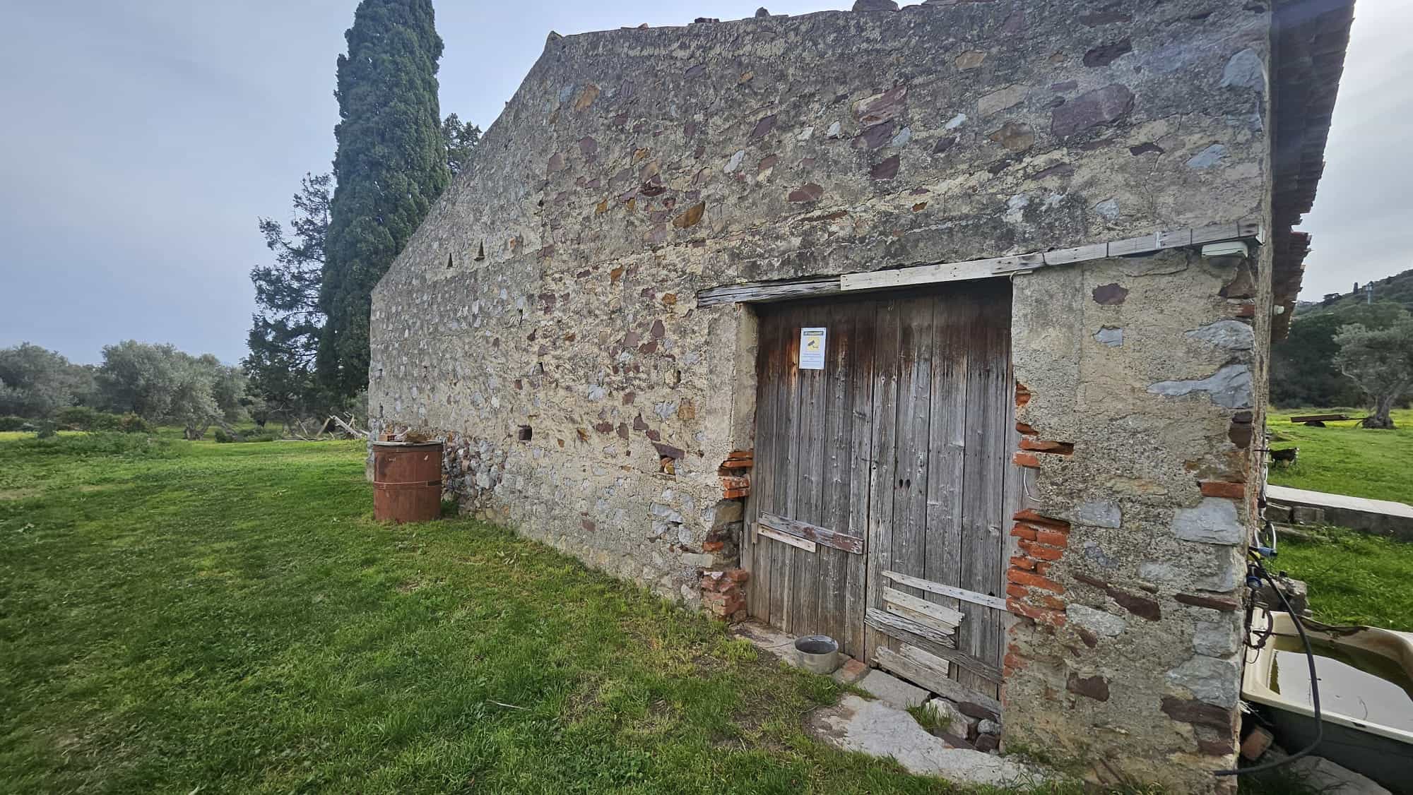 Vecchio edificio in pietra con porta in legno in un'area rurale, perfetto per ristrutturazione o progetto di agriturismo, circondato da natura e vegetazione, esempio di architettura tradizionale toscana.