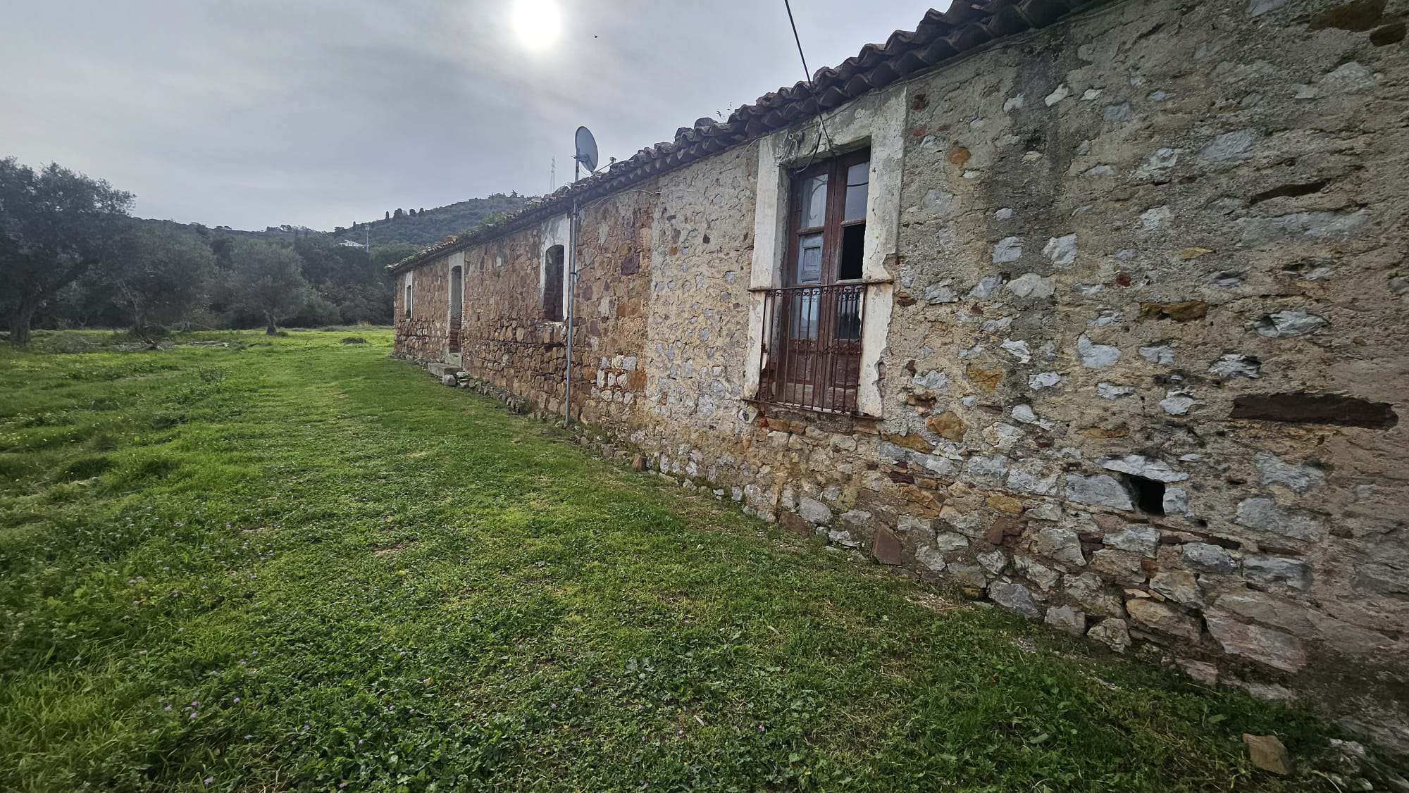 Vecchio casale in pietra su un ampio terreno verde con alberi e paesaggi collinari circostanti, perfetto per ristrutturazione e investimento immobiliare, situato in zona rurale e tranquilla.