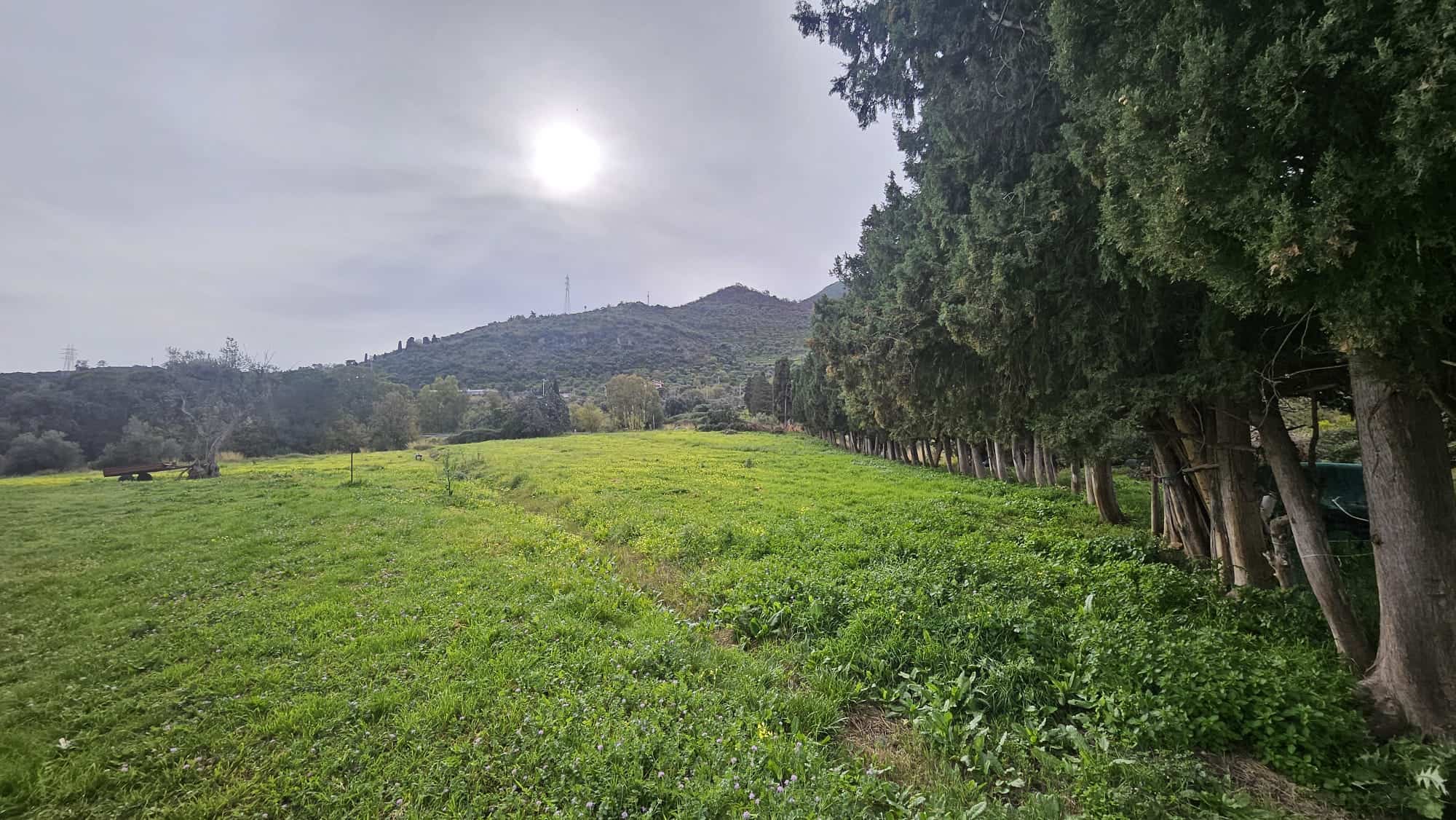 Campo verde con alberi e colline, paesaggi rurali e natura, scenario tranquillo, ideale per investimenti immobiliari o casa al mare in Italia.