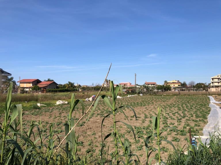 Terreno agricolo in vendita in contrada Pagano, Barcellona P.G., Me