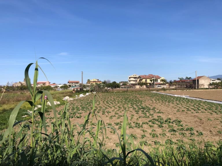 Terreno agricolo in vendita in contrada Pagano, Barcellona P.G., Me
