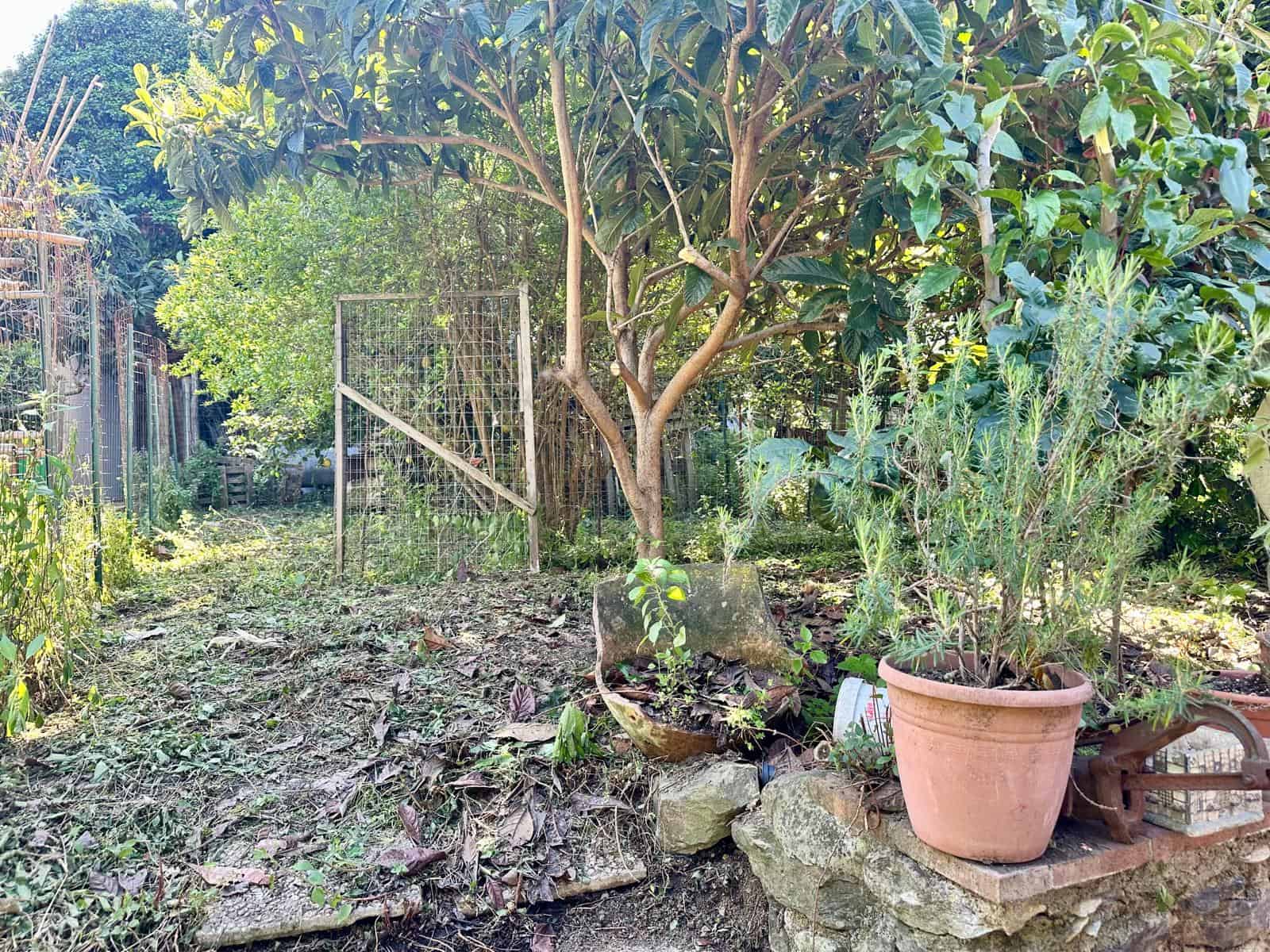 Bellissimo giardino con alberi e piante in vaso, zona tranquilla per attività all'aperto, ideale per case in vendita o affitto, presenza di recinzioni per privacy e sicurezza, ambiente verde e rilassante.
