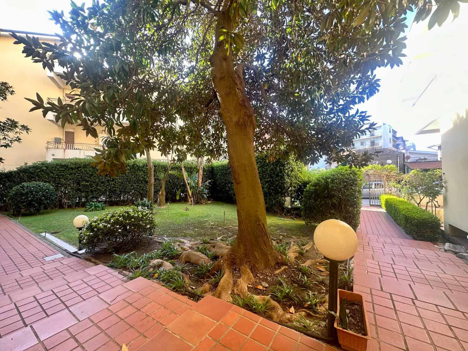 Albero nel giardino di una residenza con luci da esterno e aiuola con piante ornamentali e gazebo in background.