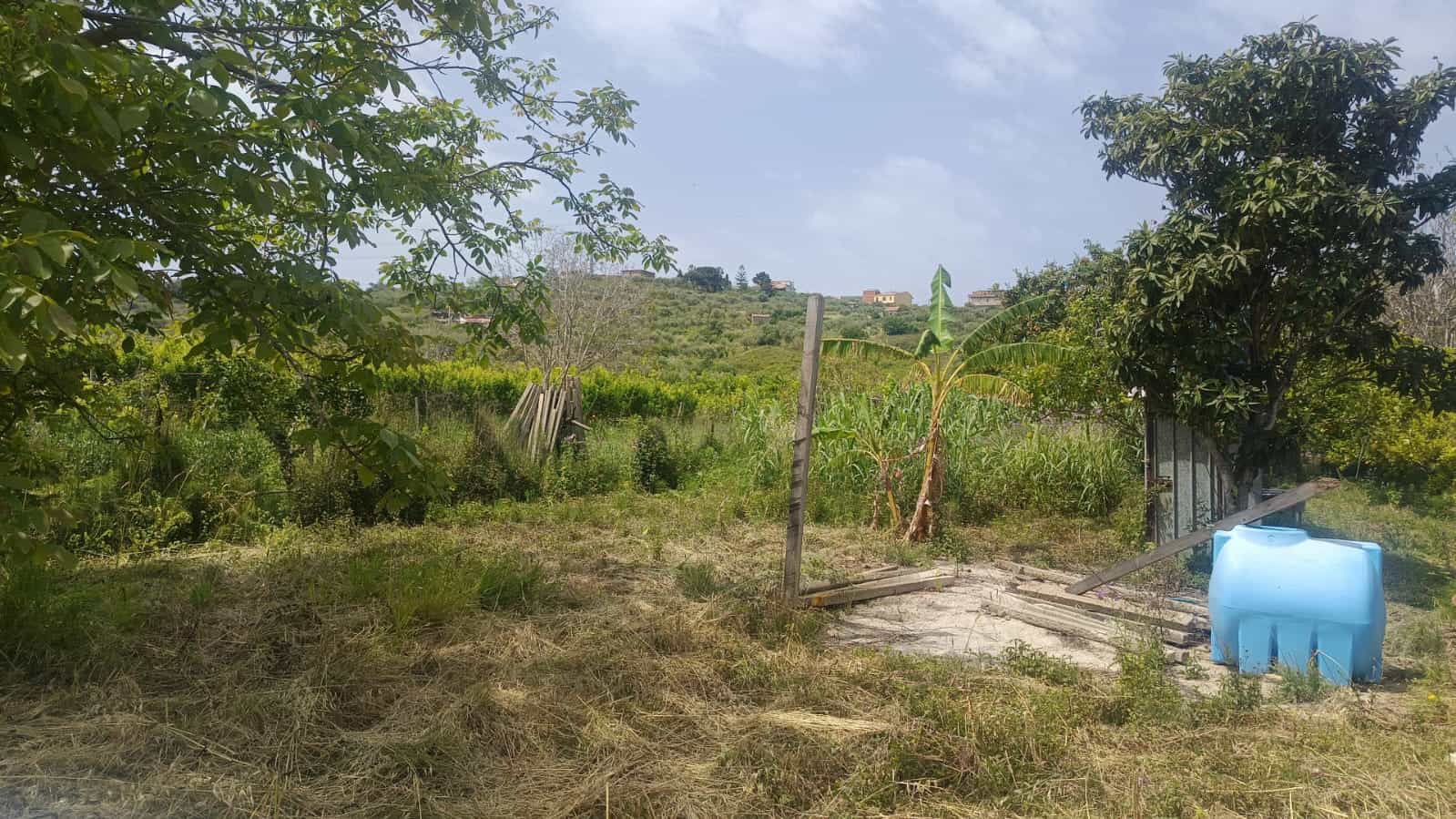Prato agricolo verde con alberi e piante da frutto, oczione di campagna con in lontananza case e colline, atmosfera naturale e tranquilla, ideal per agricoltura e vita rurale.