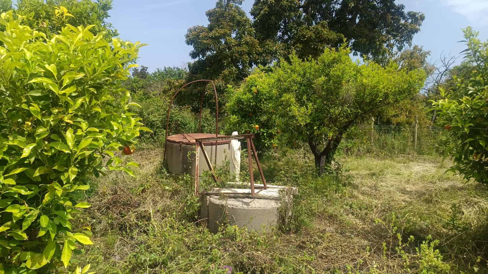 Pompa dell'acqua nel giardino con piante e alberi, ambiente rurale, scavi e irrigazione, benessere naturale, praticità domestica, coltivazioni verdi, energia sostenibile, vita all'aperto, paesaggio agricolo, eco compatibile.