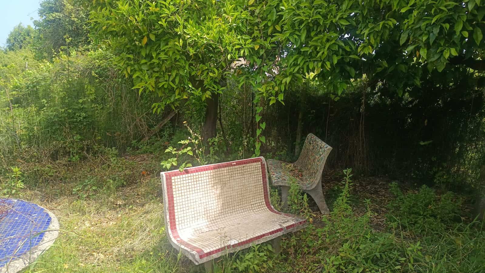 Panchina e seduta nel giardino con alberi e vegetazione rigogliosa, spazio all'aperto con angolo relax, ambiente naturale e tranquillo.