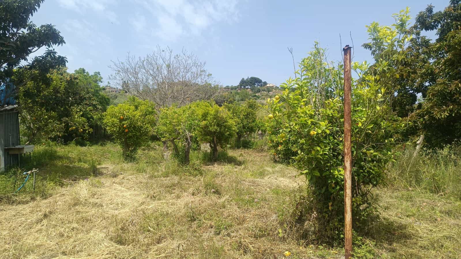 6dcfde10-8878-4377-a4c2-893a67ab703d Orto con alberi da frutto e piante in un cortile residenziale, con visuale verso le colline e il cielo azzurro, ideale per agricoltura biologica e vita all'aperto.