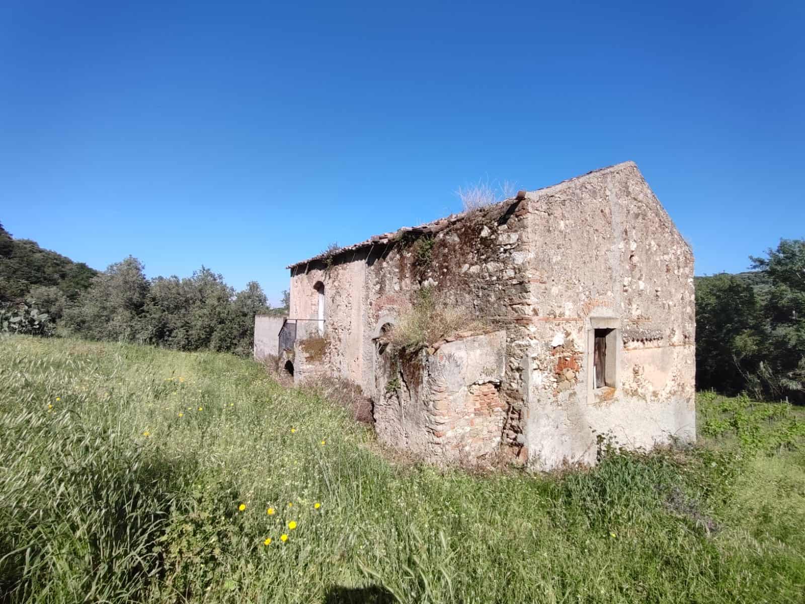 Vecchia casa di pietra rurale abbandonata immersa nella natura, con pareti in pietra e tetto in terracotta, circondata da un verde prato e alberi sotto un cielo azzurro.