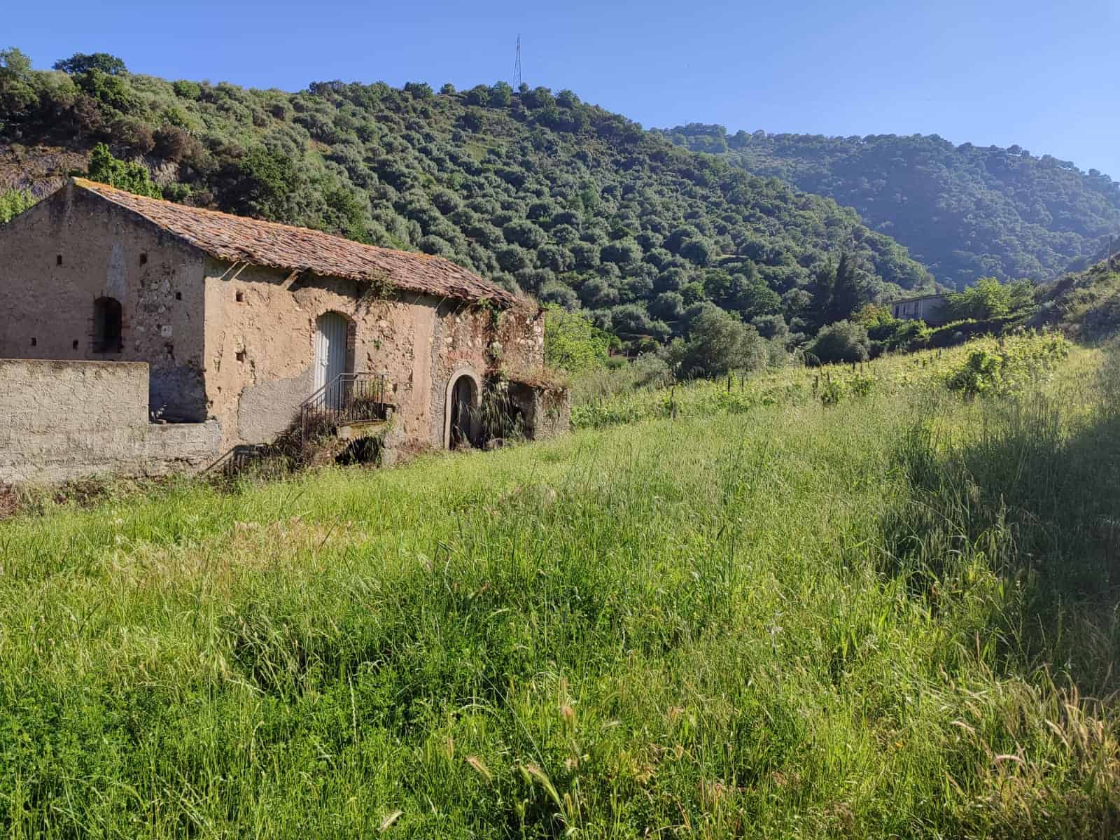 Vecchio casale in pietra immerso in un paesaggio rurale con verdi colline e vegetazione rigogliosa, perfetto investimento immobiliare in una zona tranquilla e panoramica.