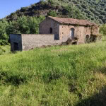 Rustico in campagna con pareti in pietra, vicino a collina verde e alberi, perfetto per investimento immobiliare o ristrutturazione in Toscana.