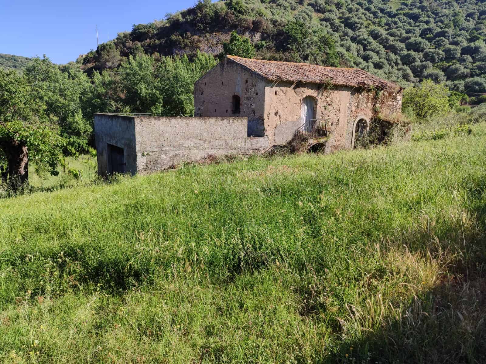 IMG-20250502-WA0041 Rustico in campagna con pareti in pietra, vicino a collina verde e alberi, perfetto per investimento immobiliare o ristrutturazione in Toscana.