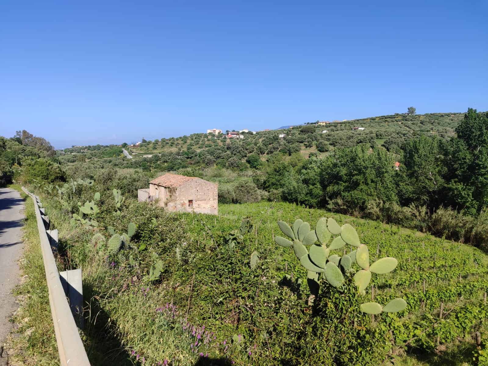 Vista panoramica delle colline verdi con case rurali e campagna in Toscana, ideale per immobili di lusso e investimenti immobiliari. Ricerca immobiliare a Firenze con NextCasa.