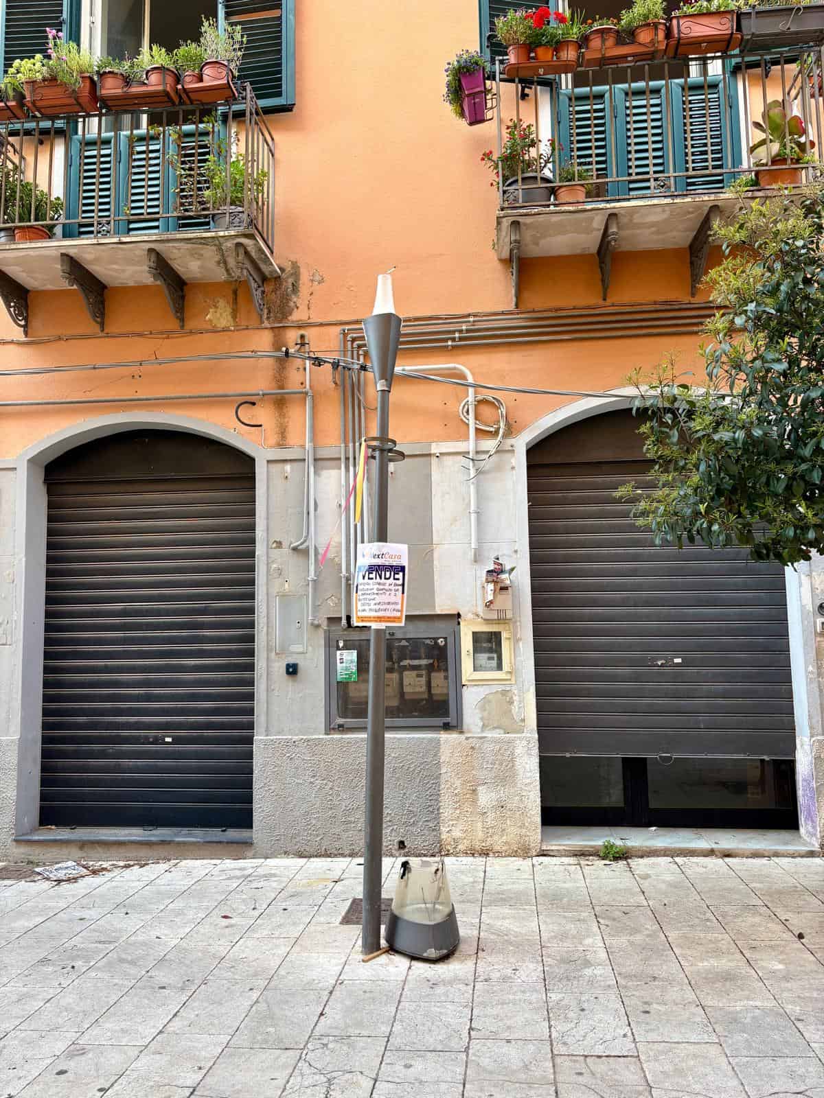 Stai vendendo un immobile con doppia porta e terrazze con piante in città.