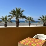 Vivid seaside view with palm trees and clear blue sky, perfect for enjoying relax in a beachfront apartment at NextCasa in Italy.