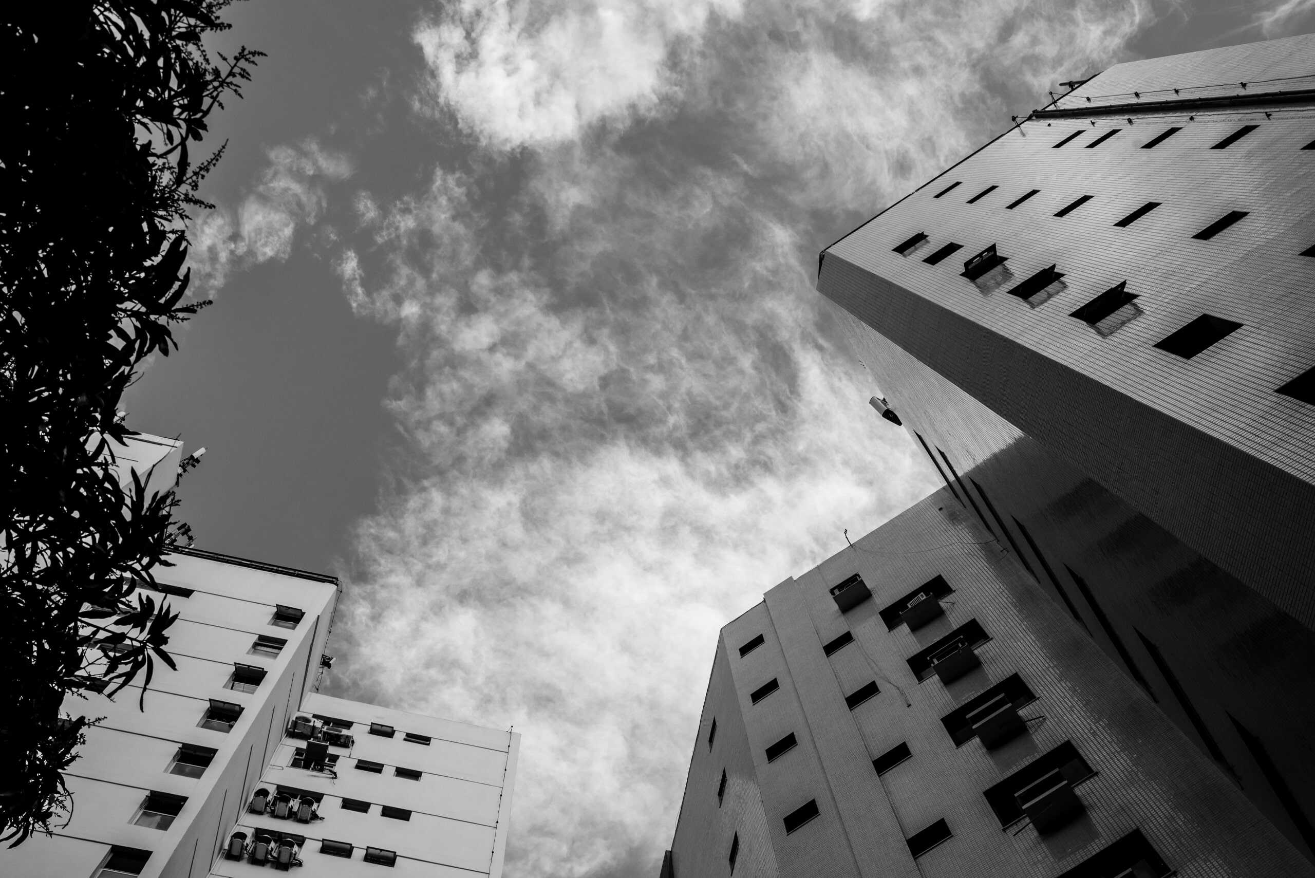 dazi e immobiliare