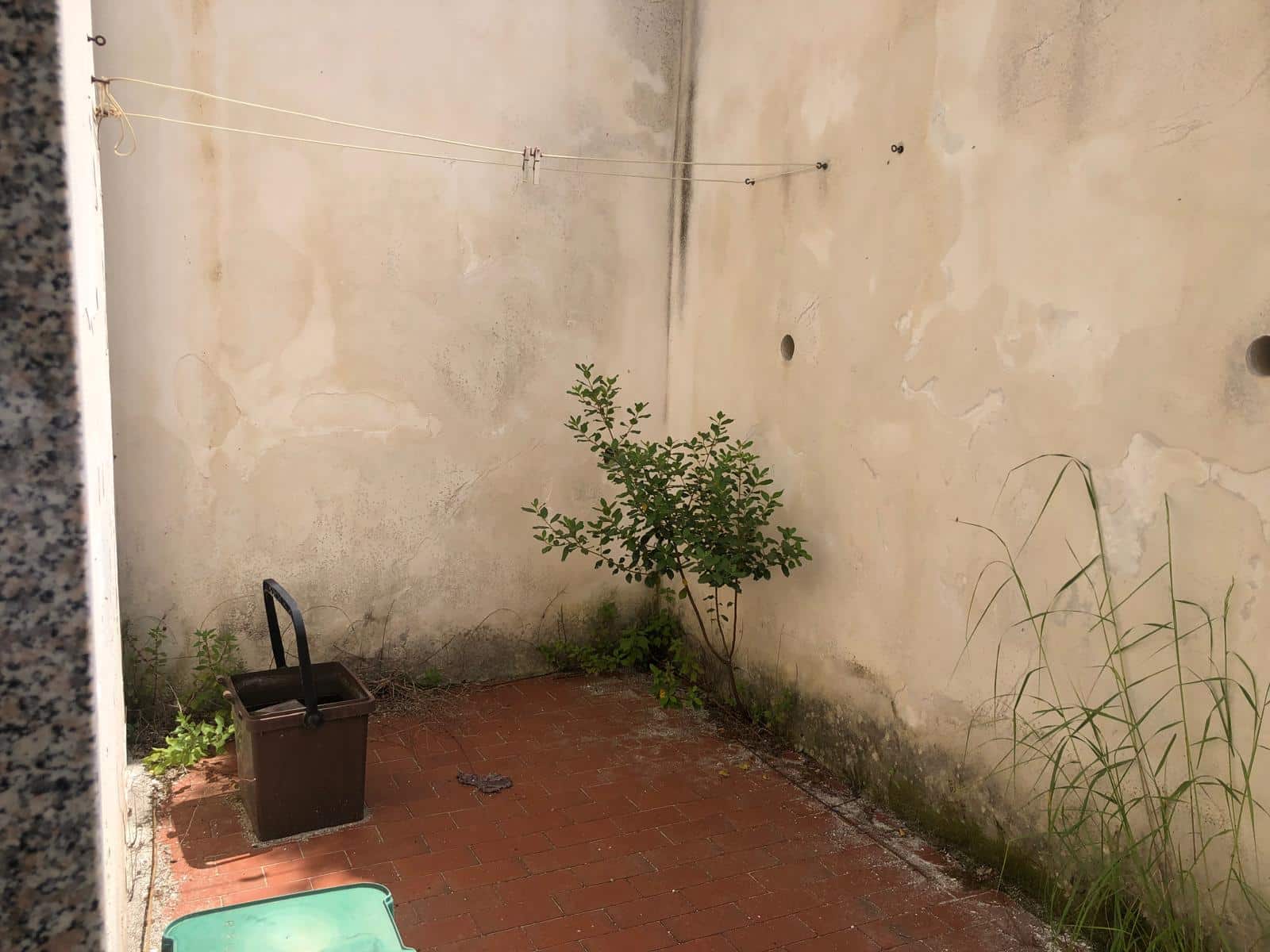 Linea 1: cortile esterno con parete bianca, piante e qualche oggetto, spazio all'aperto in giardino.