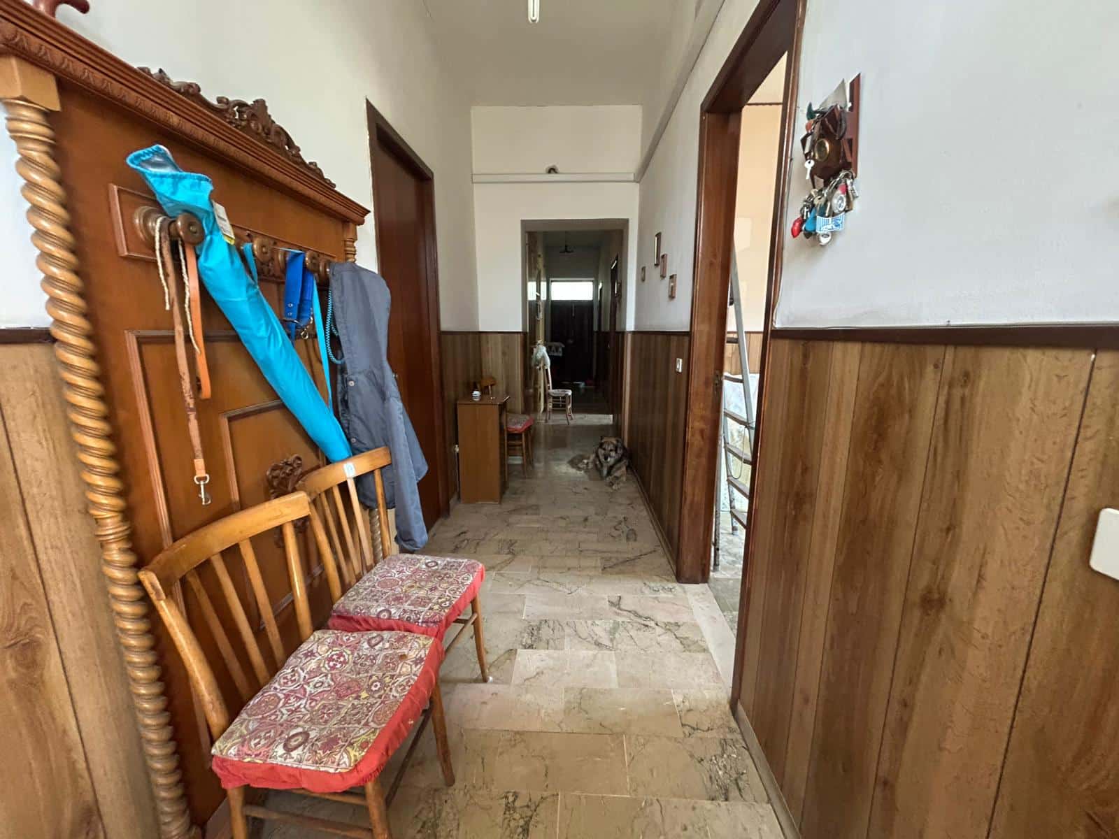 Guardar imbarco d'ingresso in stile classico con panche in legno, pareti rivestite in legno e pavimento in marmo, con una gatta seduta nel corridoio.