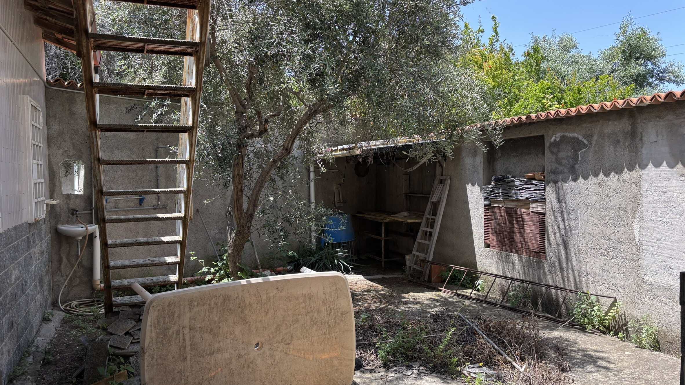 Scala in legno usata come accesso al soppalco o al tetto, ambiente esterno con albero e ripostiglio di campagna in muratura, ideale per progetti di ristrutturazione o giardinaggio.