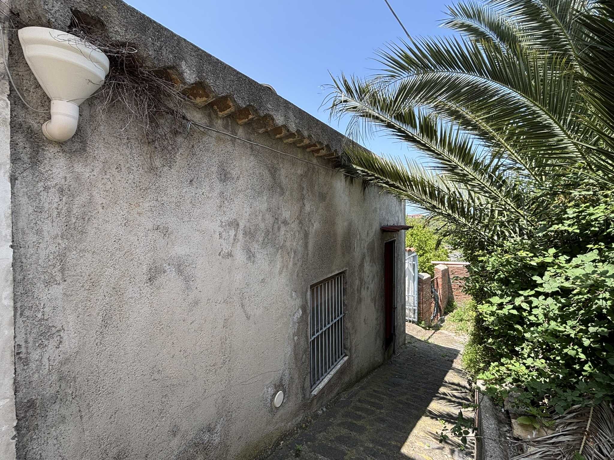 Vecchia parete in pietra con finestra e piante tropicali, immobile vicino al mare in Italia.