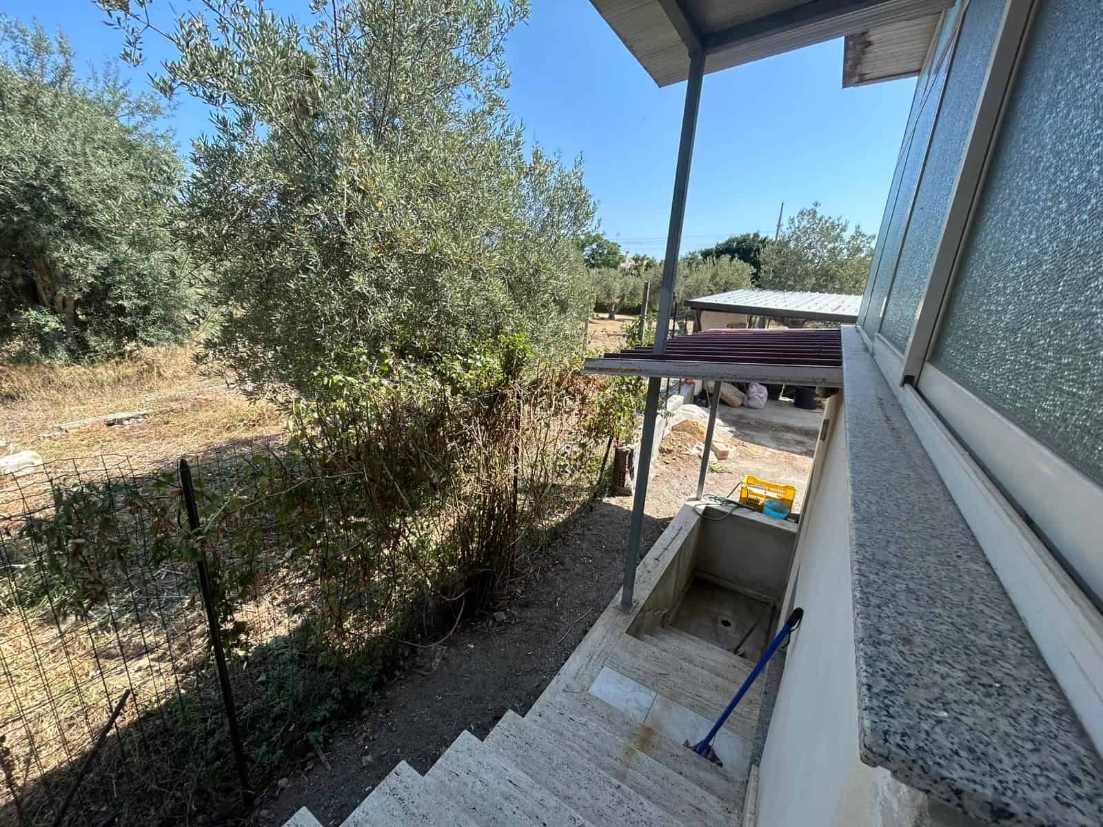 Veranda con vista su giardino con alberi di ulivo, scala in pietra, finestre con vetri opachi e scatola di strumenti in stile rustico, ambiente naturale e tranquillo.