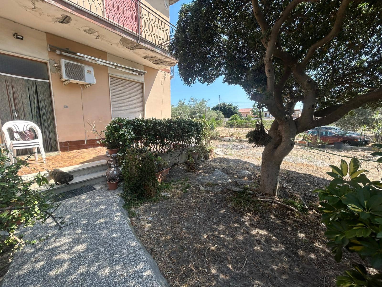 Spazio esterno di una casa con giardino conolio di piante e albero, ingresso con gradino, aria di tranquillità e natura.