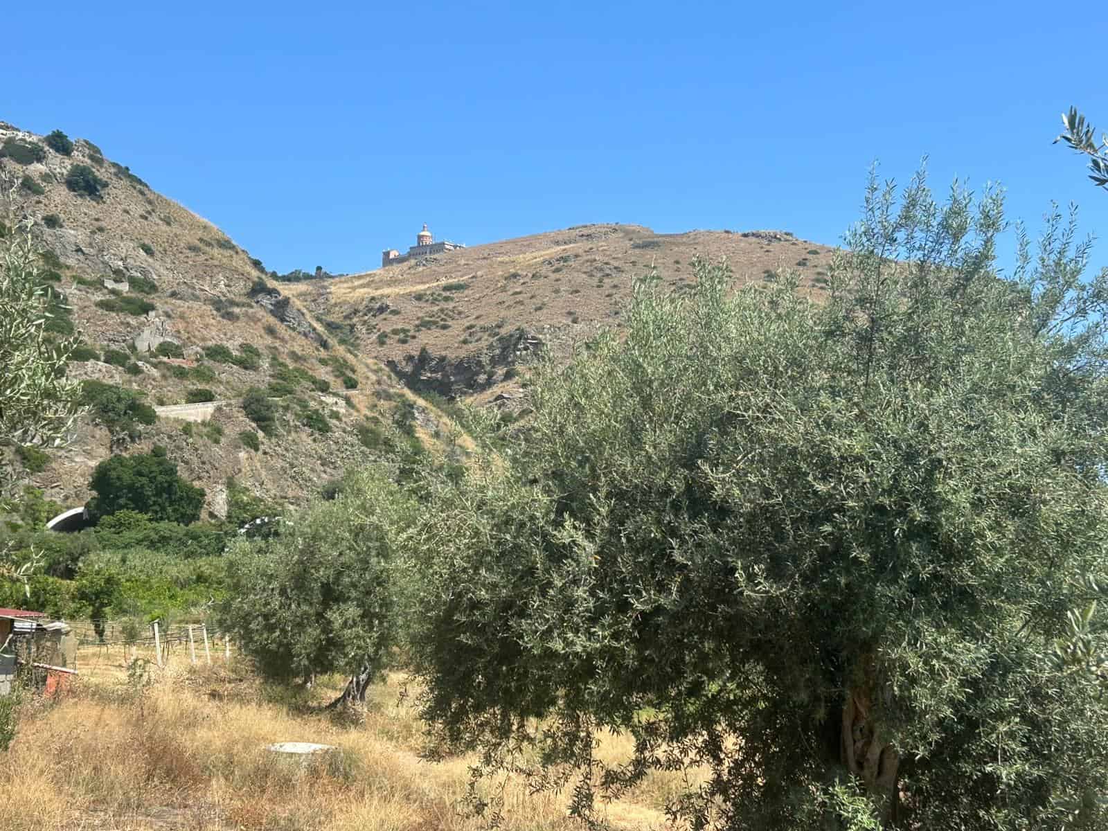 Paesaggio collinare con alberi e vista sul mare, natura incontaminata, proprietà vicino al mare, terreni agricoli e panorami mediterranei per investimento immobiliare NextCasa.