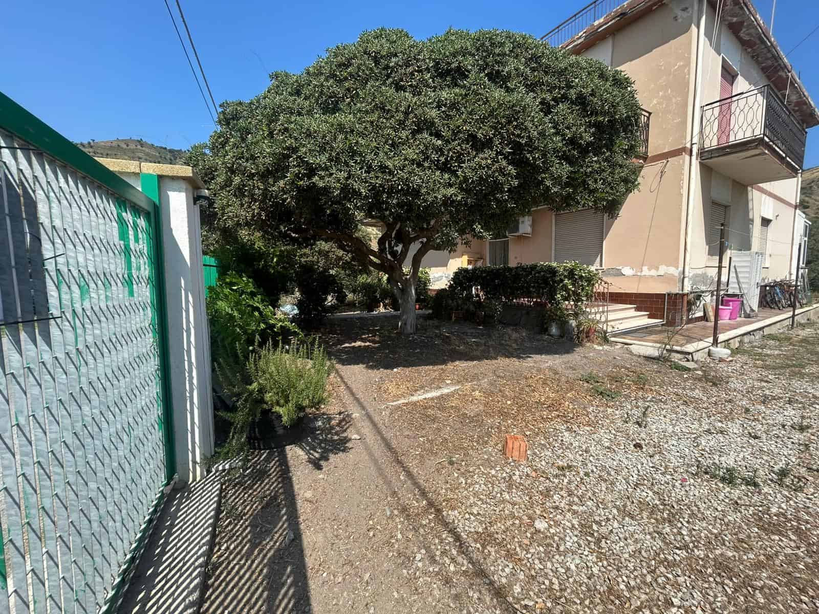 Vasta area esterna con albero, giardino e spaziosa entrata frontale, ideale per residenza o investimento immobiliare in zona residenziale vicino al centro.