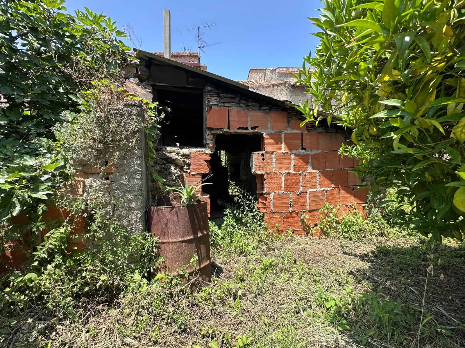 Vecchio capanno di legno e mattoni con piante e cespugli circostanti, in un giardino o cortile abbandonato, struttura rustica e degradata, zona esterna, vegetazione rigogliosa, atmosfera naturale e rurale.
