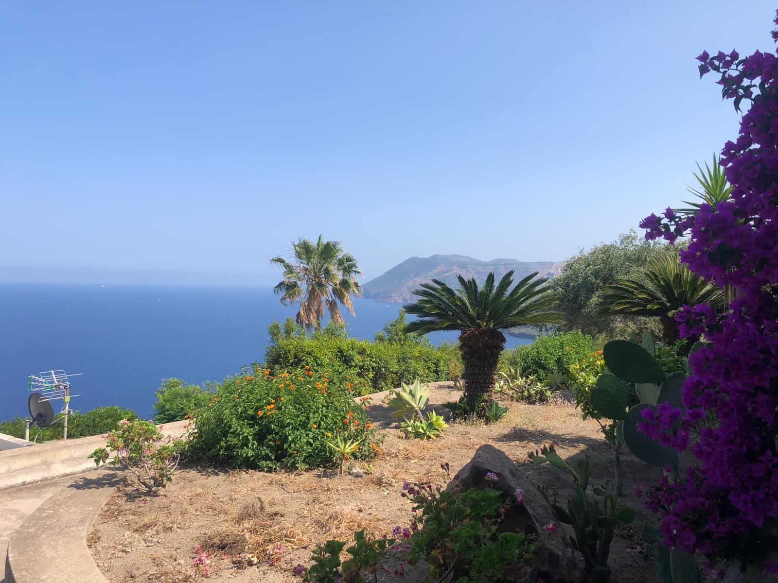 Vista panoramica del giardino con piante tropicali e vista sull'oceano e le montagne al tramonto, consigliata per case in vendita o affitti sulla costa mediterranea in Italia.