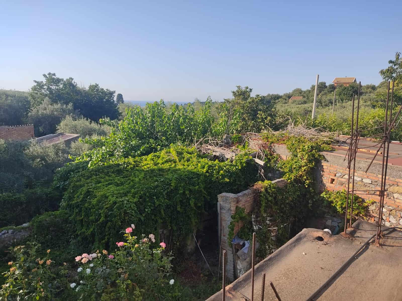Vista panoramica di un giardino verde e rigoglioso con piante e alberi, case in lontananza e un cielo sereno, ideale per fortunate proprietà residenziali e spazi verdi immersi nella natura.
