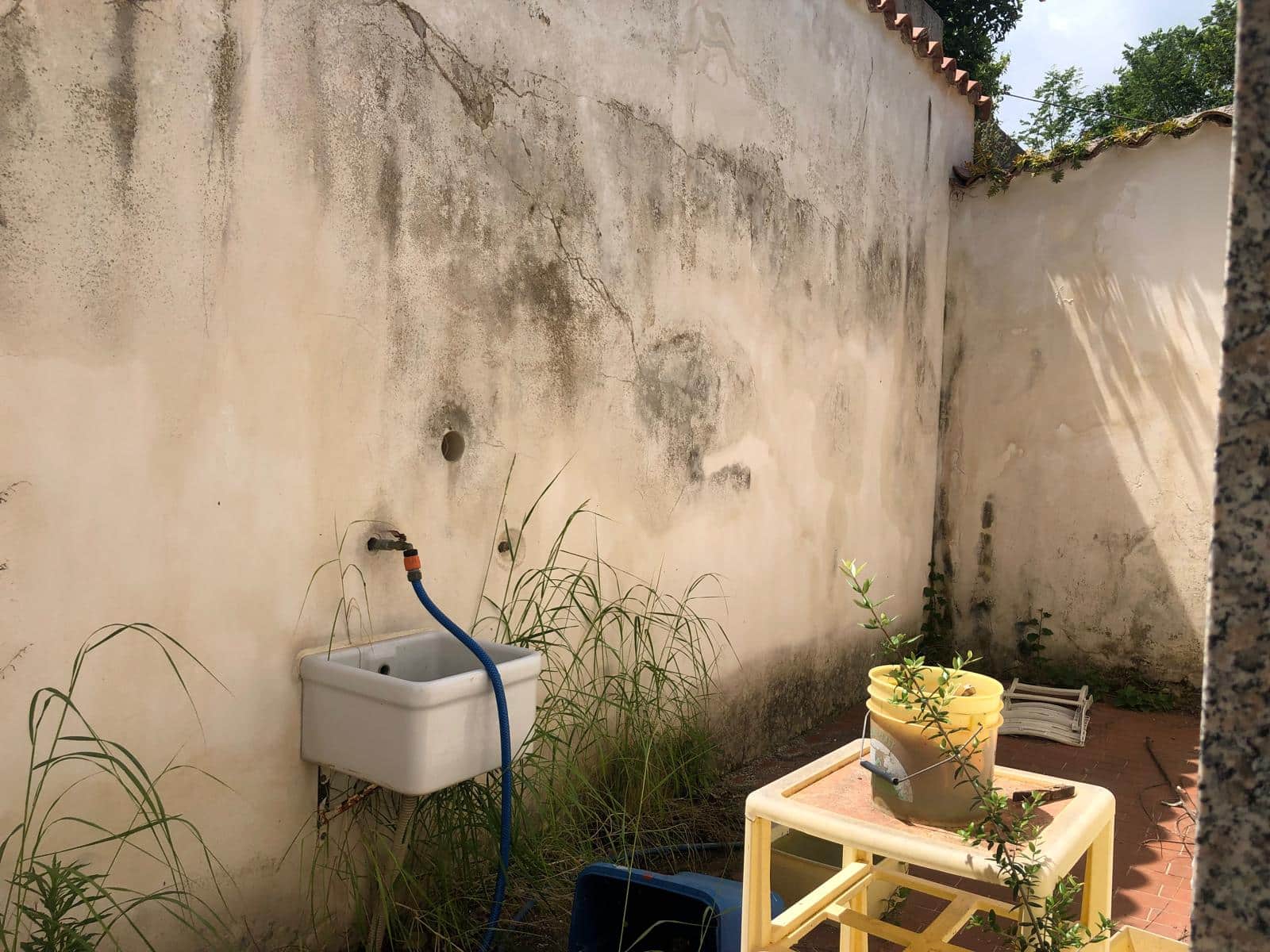 Vecchia parete di cortile con fontanella di piccole dimensioni, piante e attrezzi da giardino, atmosfera rustica e in condizioni di abbandono, spazio esterno di proprietà immobiliare.