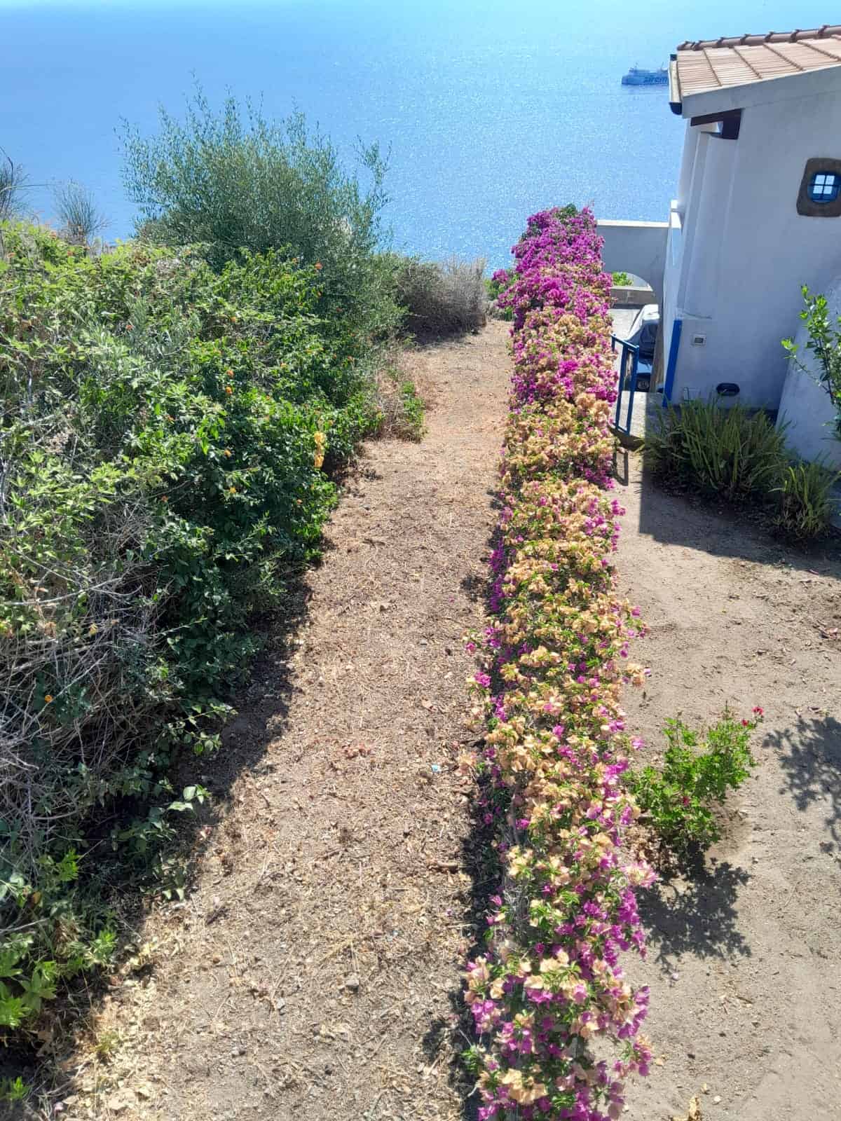 Spazio esterno con cactus e fiori sulle colline vista mare, vista panoramica di una casa vacanze vicino al mare.