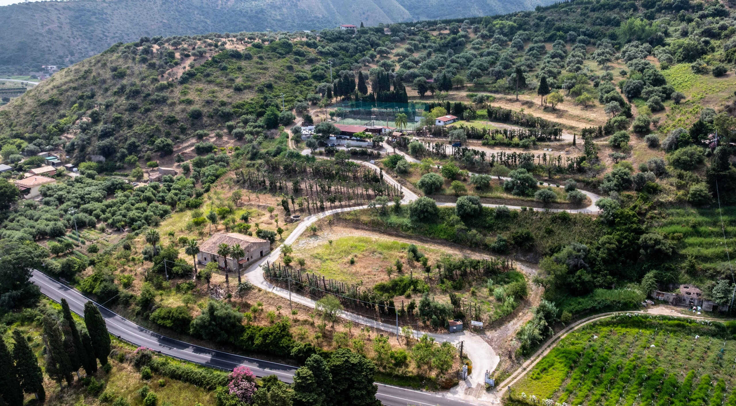 Vigneti e paesaggio collinare in Toscana, vista aerea di un terreno agricolo con filari di viti, strade rurali e uliveti, perfetto per investimenti e proprietà rurali di pregio.