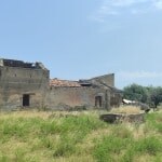 Vecchio edificio abbandonato in rovina, situato in un'area verde e selvaggia con erba alta e alberi, sotto un cielo sereno di giorno, rappresenta un esempio di recupero di immobili storici.