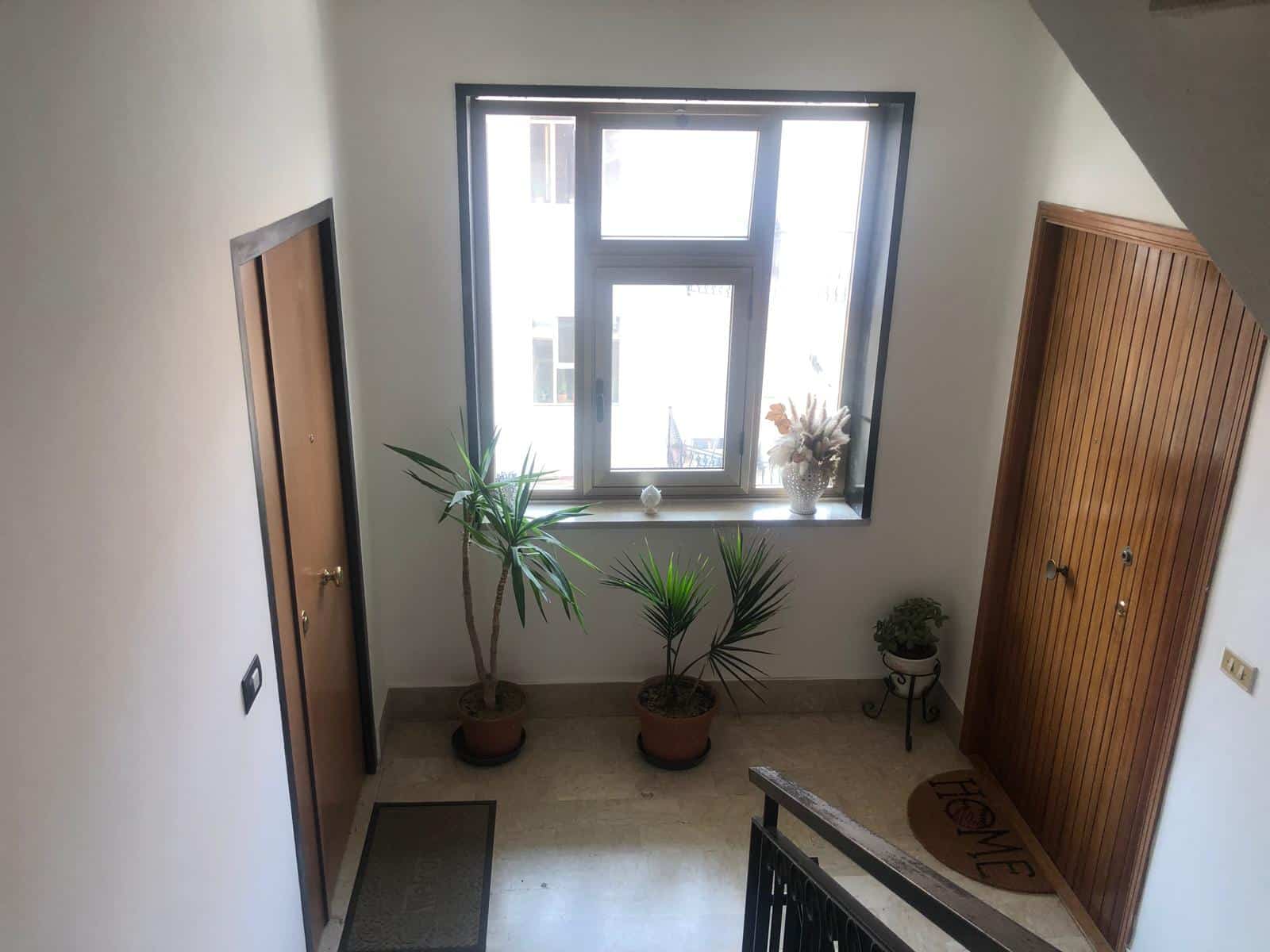 Porte d'ingresso e finestra in un ingresso di casa, decorato con piante verdi e un vaso di fiori, ambiente luminoso e accogliente, ideale per appartamenti moderni.