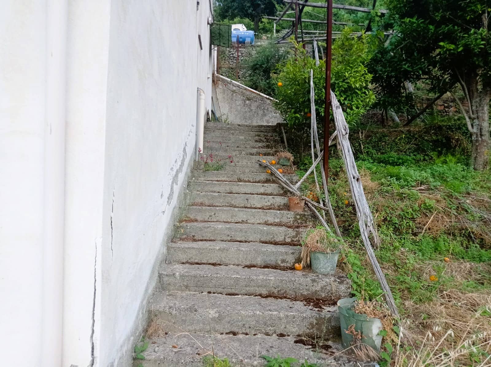 Scale esterne in cemento con piante e arredi rustici, contesto di campagna o giardino.