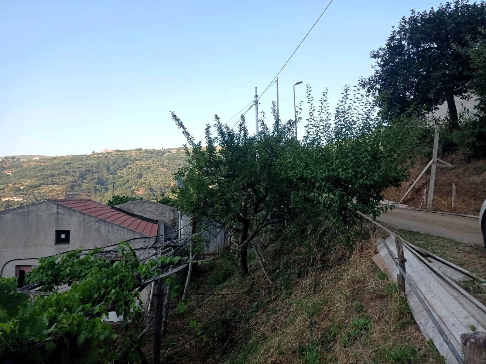 Fotografia di una strada di montagna con pendenza, alberi e linea elettrica, in un contesto rurale e naturale, perfetta per immobili in collina o zone residenziali in ambienti boscosi.