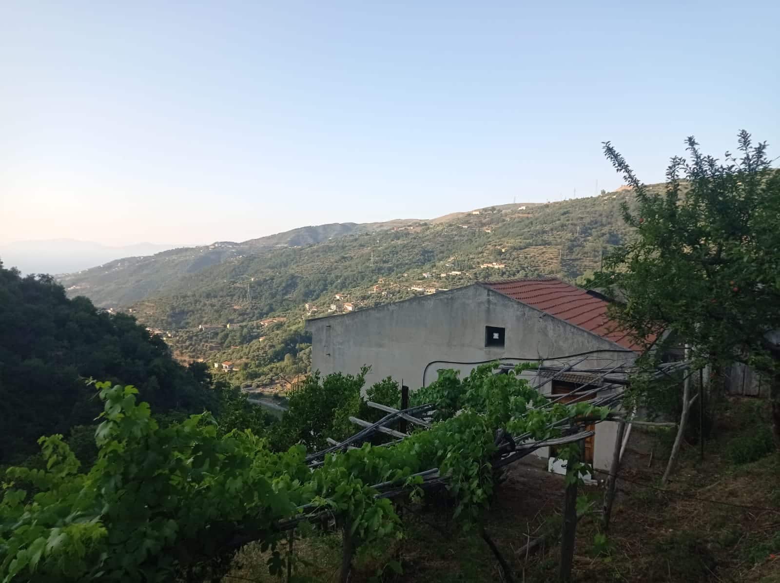 Rustico in collina con vista panoramica, immerso nel verde e circondato da vigneti, ideale per chi cerca tranquillità e natura, vicino a servizi e aree rurali.