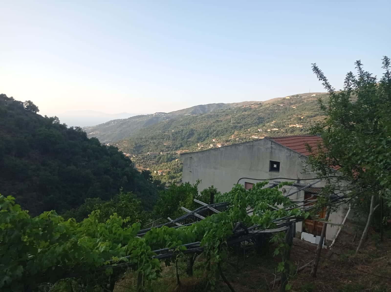 Vista panoramica delle colline con case e vigneti in Toscana, natura incontaminata e paesaggi suggestivi, ideale per investimenti immobiliari e case vacanze, in zona tranquilla e immersa nel verde.