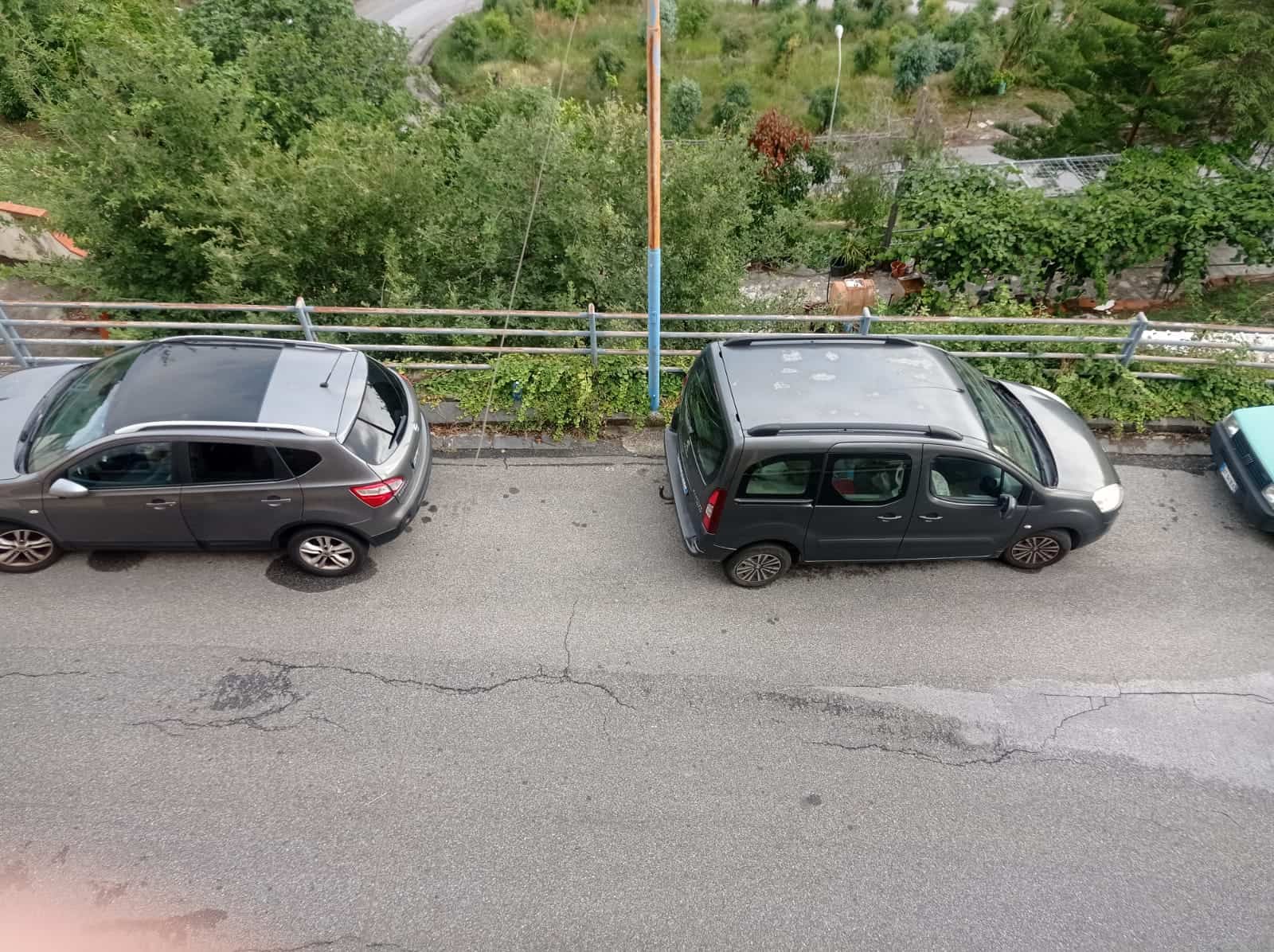 Auto parcheggiate su strada con vista su area verde e giardini, in zona residenziale, immagini di parcheggi urbani per affitto o vendita, ambientazione naturale e urbana.