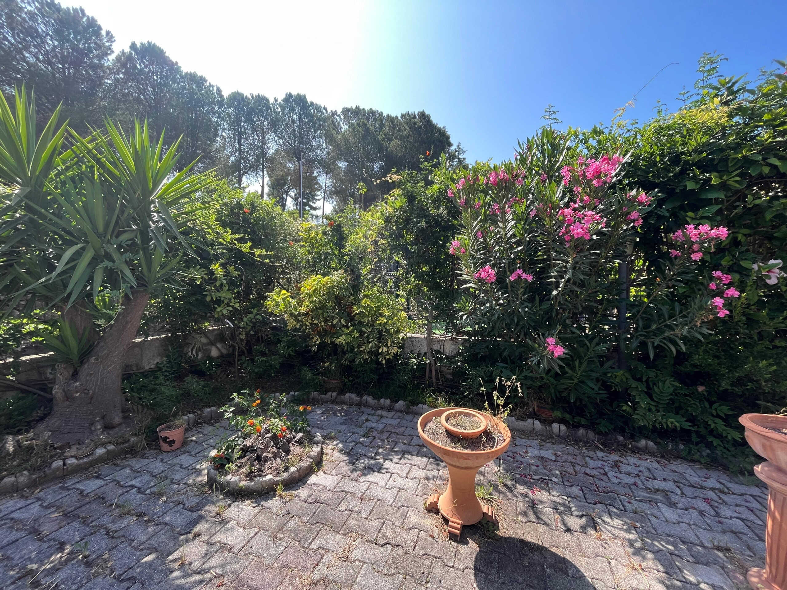 Giardino esterno con piante e fiori, zona rilassante e tranquilla con pavimentazione in pietra naturale, ideale per vivere momenti all'aperto in un'ambiente curato e verdeggiante.