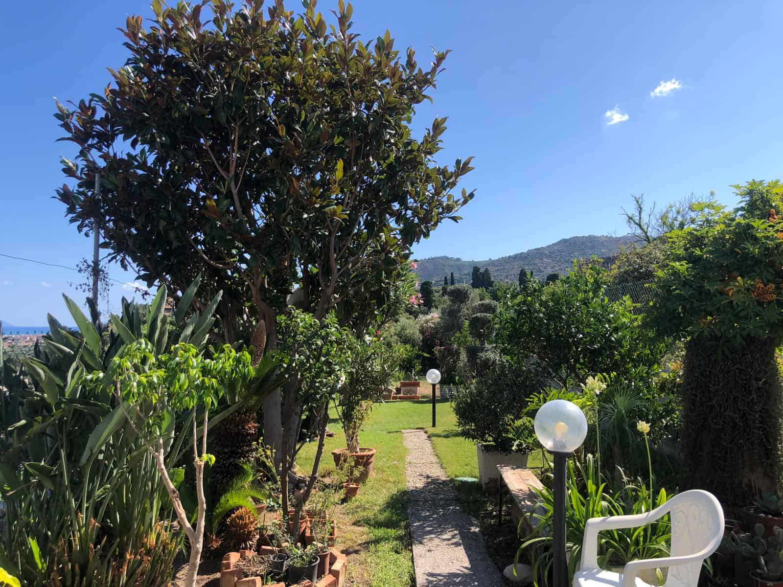 Verde giardino residenziale con piante, alberi e vasi, illuminazione da esterno, spazio relax con panchina, sfondo di colline e cielo sereno, ambiente tranquillo e accogliente.