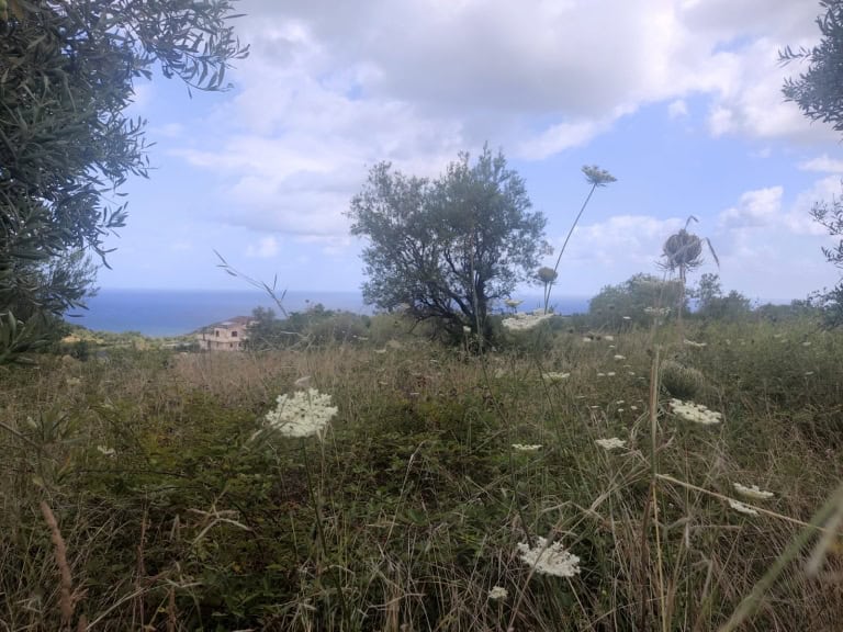 Terreno in vendita in c.da Margi a Rometta, Me