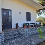 Porta d'ingresso in legno scuro con dettagli in vetro, ingresso esterno con scalini in pietra, zona relax con mobili da giardino e piante in vaso, casa moderna con pareti in gesso bianco e ambiente naturale.
