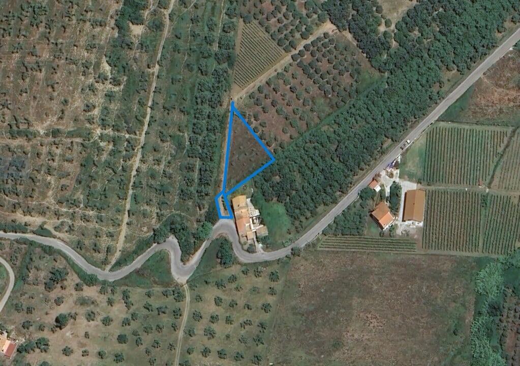 Terreno agricolo con alberi da frutto e zona boschiva, ideale per orti e attività rurali, situato in campagna vicino a strade e case, con ampio spazio per sviluppo e agricoltura sostenibile.