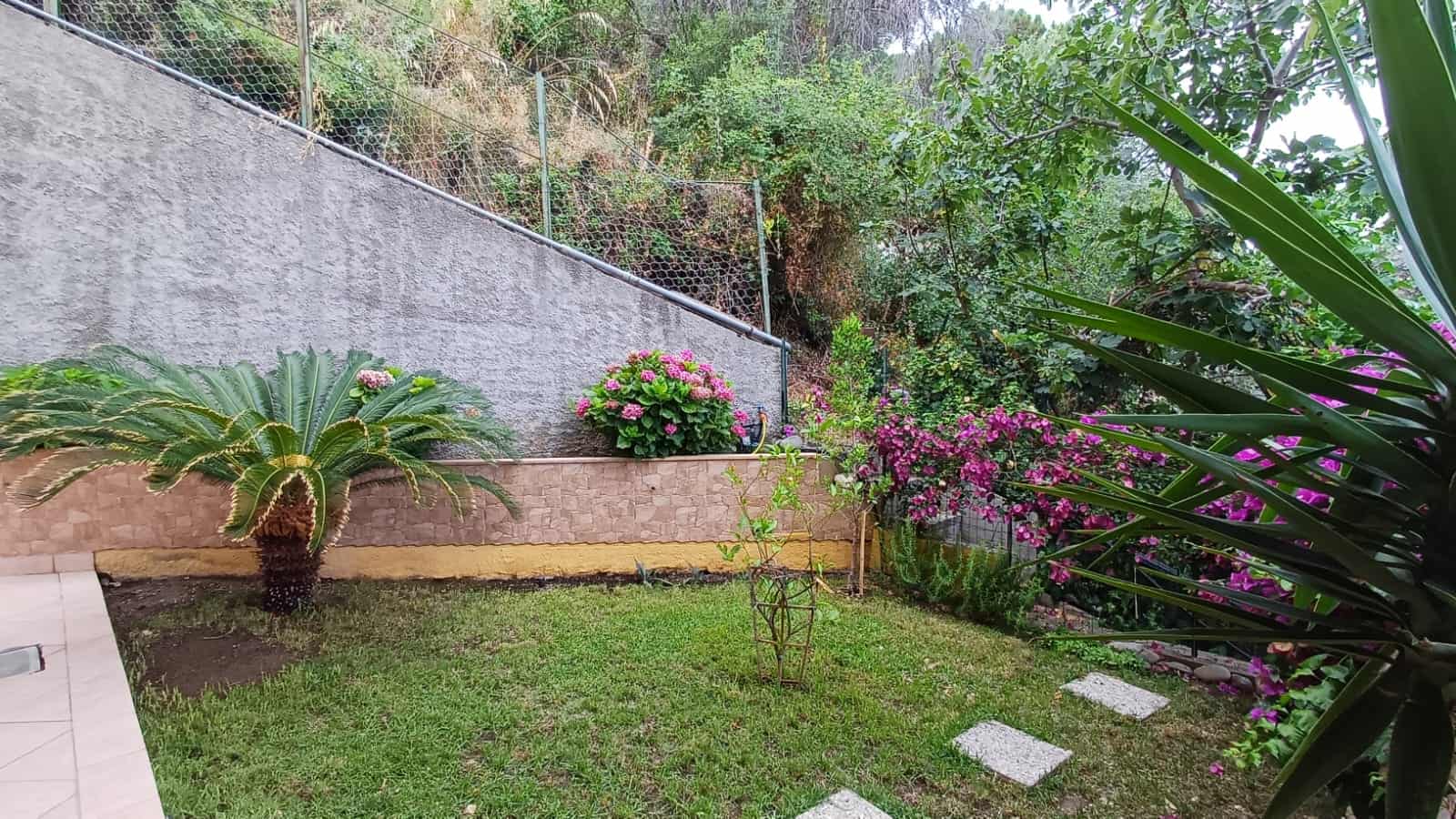 Il giardino verde con piante ornamentali e fiori colorati, situato in un'area residenziale con muretto in pietra e pavimentazione esterna.