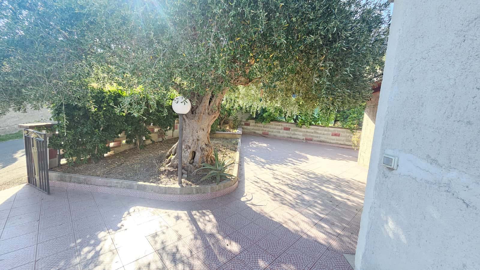 Altrettanto antico albero con lanterna decorativa e vialetto in pietra, spazio esterno e giardino privato, ideale per abitazioni e case da sogno, sito NextCasa.