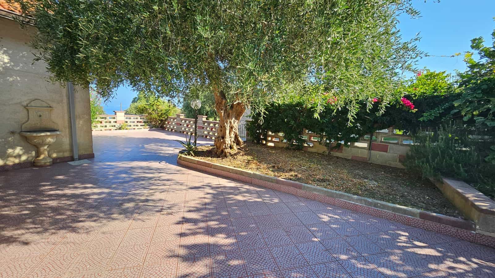 Albero secolare in giardino con panchina e viale panoramico con immobile residenziale sullo sfondo.